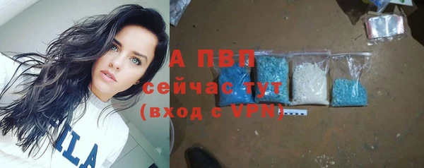 молекула духа Богородск