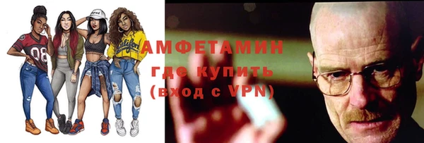 шишки Богородицк