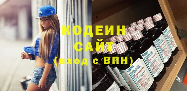 шишки Богородицк