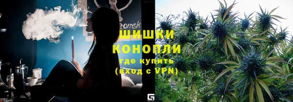 шишки Бородино