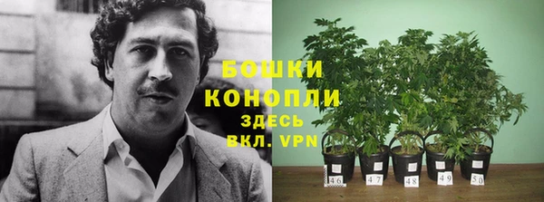 СК Богданович