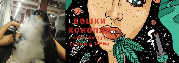 молекула духа Богородск